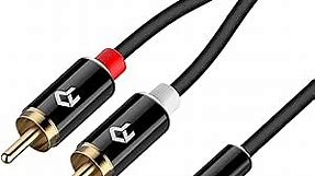 Rankie 3.5mm to 2-Male RCA Adapter Audio Stereo Cable, 6 Feet
