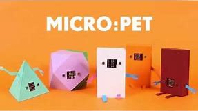 Make your own pet with Micro:Bit