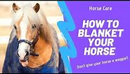 How To Blanket A Horse