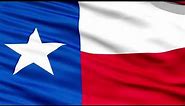 Texas Flag Waving | Texan Flag Waving | Texas Flag Screen