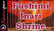 Fushimi Inari Shrine in Kyoto Tour! | Video Japan Guide