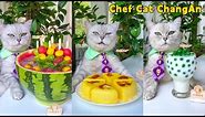 One-Year Collection🤩: Cat-Chef Makes Beautiful And Fragrant Food|Cat Cooking Food|Cute And Funny Cat