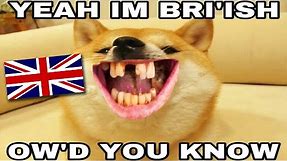 British Memes (yes im british how'd you know) Bri ish Meme Compilation
