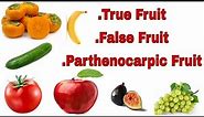 Fruits ,True Fruit False Fruit Parthenocarpic fruit Fruits for NEET +2, +1 Bsc and other competition