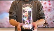 Galaxy Enchanted Rose in Glass Dome Review 2022 - Beauty and the Beast Rose