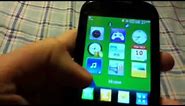 TracFone LG 800g Review