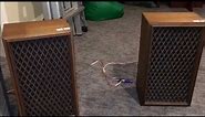 Realistic Nova 5 speakers: first look.