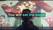 You Will Eat The Bugs