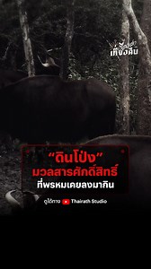 1.2M views · 37K reactions |...