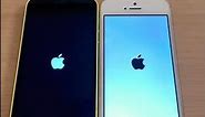 iPhone 5c vs iphone 5s speed test