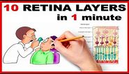 Retinal Layers in 1 minute / Mnemonic series # 13