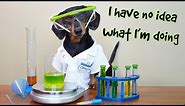 Funny Chemistry Dog! - with Oakley the Funny Dachshund!