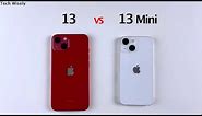 iPhone 13 vs 13 Mini SPEED TEST