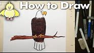 How to draw a cartoon Eagle step by step