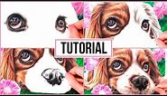 How To Draw a Realistic Dog in Coloured Pencil | Drawing Tutorial Step by Step