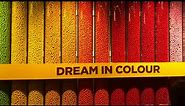 All different flavors at M&M’s World!