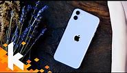 iPhone 11 review - Die kluge Wahl?