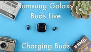 How to Charge the Samsung Galaxy Buds Live || Samsung Galaxy Buds Live