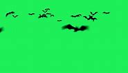 Animation silhouette bats with yellow moon on green background.
