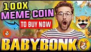 Baby Bonk Coin 🔥100X Meme Coin to Buy Now👉 Baby Bonk Review 2024
