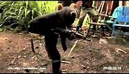 Monkey shooting AK-47 Between Soldiers in Africa!!!