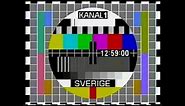 SVT Kanal 1 testbild 1995 (Sweden)