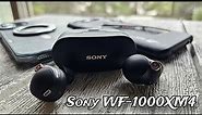 How to Pair Sony WF-1000XM4 | Bluetooth Pairing Test | What to expect