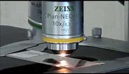 ZEISS Microscopy How-to: Align and Focus your HAL Light Source for Köhler Illumination