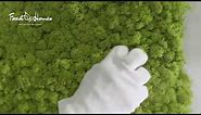 Moss Panels Installation (with mounting adhesive) | Forest Homes