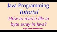 How to read a file in byte array in Java?