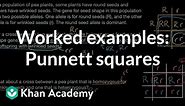 Worked examples: Punnett squares | Inheritance and variation | Middle school biology | Khan Academy