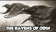 Odin's Mythical Ravens - Huginn and Muninn (Norse Mythology Explained)
