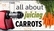 Juicing carrots: best juicers and tips for best yield
