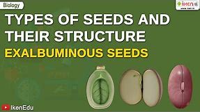 What is a Seed? | Types and Structures of Seeds | Biology | iKen | iKenEdu | iKenApp