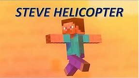 STEVE HELICOPTER HELICOPTER
