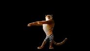 dancing tiger filler