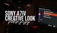 SONY A7IV CREATIVE LOOK | Comparing Different Creative Look