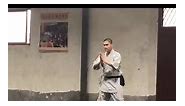 Excellent Leopard Kung Fu, a... - All about Martial Arts
