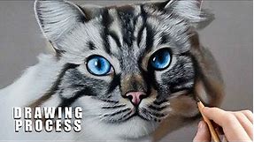 PHOTO-REALISTIC CAT DRAWING | Color Pastel Pencil Animal Art - Time-Lapse