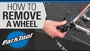 How to Remove and Install a Wheel on a Bicycle