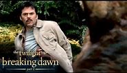 'Jacob Transforms for Bella's Father' Scene | The Twilight Saga: Breaking Dawn - Part 2