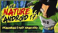 The Nature of Android 17