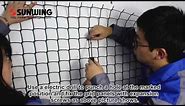 how to install artificial hedges on wall