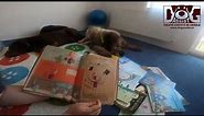 Incredibilul baietel mancator de carti - Dog Assist - Prietenii cartilor - Reading for dogs