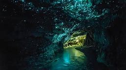 Waitomo Glowworm Cave New Zealand | Amazing Cave | Glowing Cave