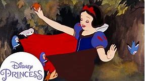 Snow White Sings With Animals in the Forest | Disney Princess