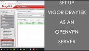 How to configure OpenVPN server on Vigor Draytek