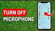 How to Turn Off Microphone on iPhone - Full Guide