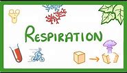 GCSE Biology - Respiration #21
