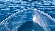 9.whale vs transparent kayak | Brodie Moss